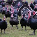 Two poultry workers in England have tested positive for bird flu, although there are no signs of human-to-human transmission, the UK Health and Security Agency (UKHSA) has said.
