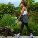 Lingo is the smartest way to understand your body and build healthier habits 