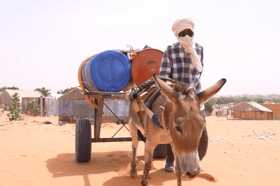 Donkeys like Lagdaf haul 400 litres of water to provide water for their community