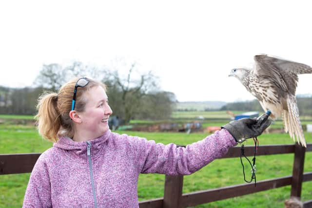 Steph Green and Chipp the Gyr Saker Falcon. Photo by Bruce Fitzgerald.