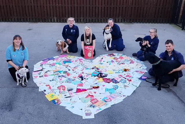 This February THE RSPCA Halifax, Huddersfield, Bradford & District branch are once calling on the public to pick an animal in their care as their Valentail.