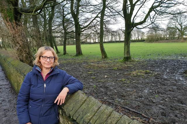 Ms Hey at a Green Belt site set to be lost if Council Plans go ahead