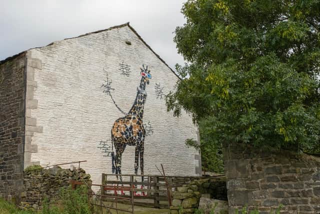 The giraffe mural on Last Tango in Halifax. Picture: BBC.