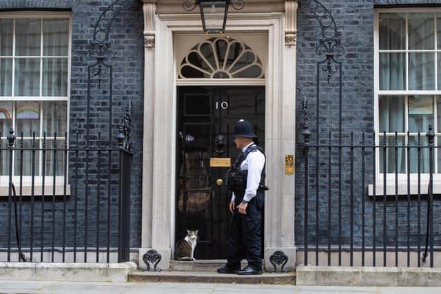 Larry the Downing Street cat outside the door of 10 Dowing Street, as Prime Minister Boris Johnson is discharged from hospital. Photo: PA