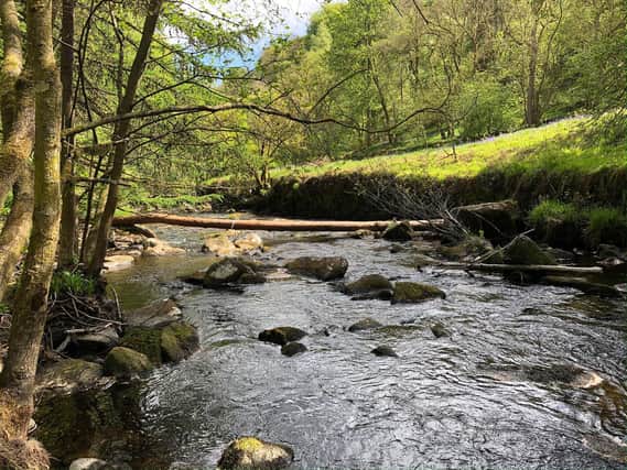 The new dams at Hardcastle Crags. Picture: National Trust.