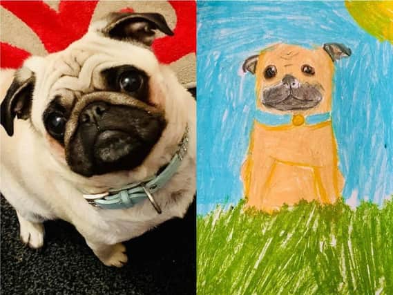 Entry by Che Adams, 8 years old, of Peggy The Pug.