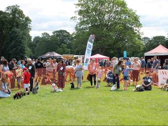 Event goers enjoying K9 Party In The Park last year at Manor Heath, Halifax.