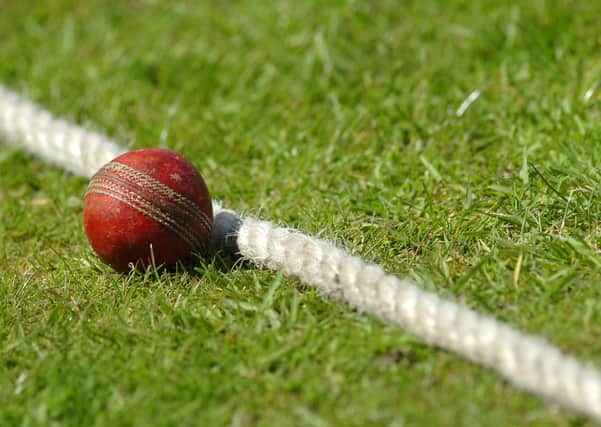 Cricket stock photo. Cricket ball against boundary  rope. (d14051261)
