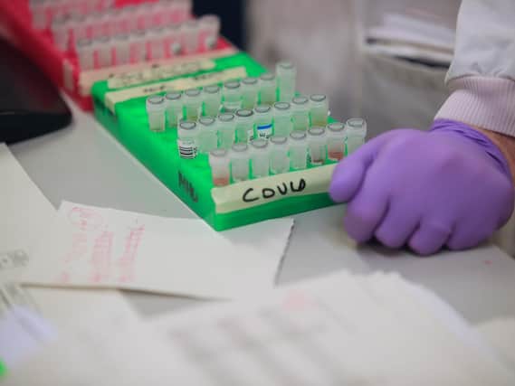 A primary school in Pellon has alerted parents that a student has tested positive for Covid-19.