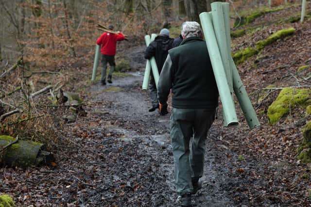 Thousands of trees will be planted at Hardcastle Crags (Picture National Trust, Victoria Holland)