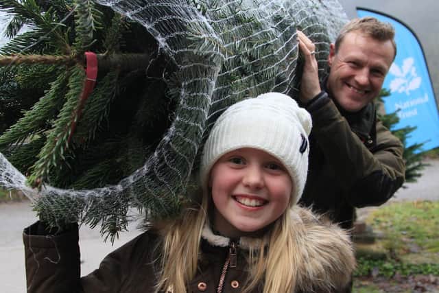 Visitors pick up their real tree from Hardcastle Crags. Copyright: National Trust  Images/Victoria Holland