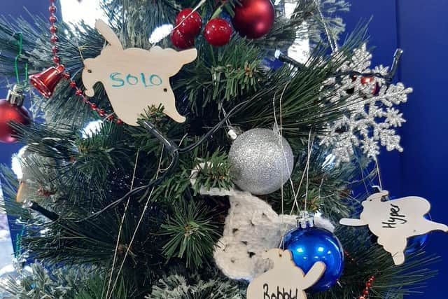 Shearbridge Veterinary Centre placed a Christmas tree in reception of its two surgeries in Queensbury, Bradford, and Hipperholme, Halifax