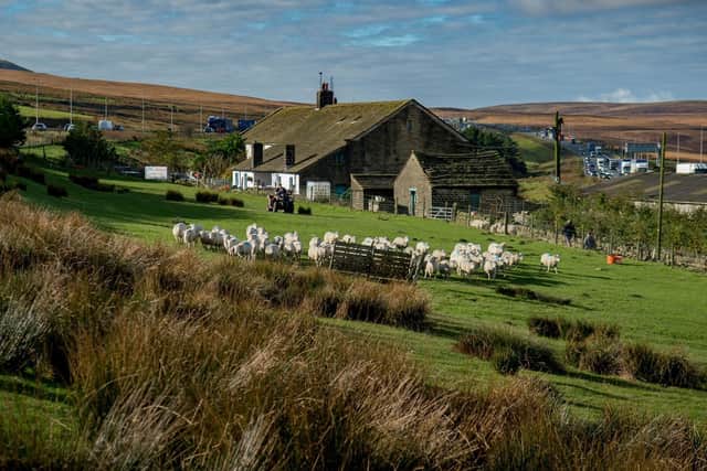 The famous farm in the middle of the M62 Stott Hall farm,