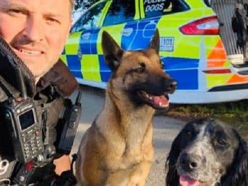 PD Macy, PD Molly and their operational handler (photo: PD Macy and PD Molly on Twitter)