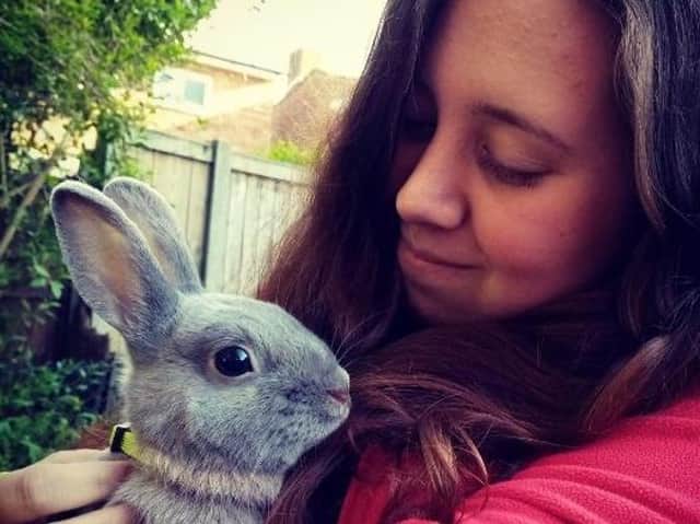 Jollyes, the nationwide pet store, is taking action to protect pets over Easter by putting a temporary bunny ban in place.