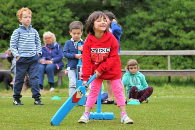 The Cricket Asylum has provided coaching sessions to thousands of primary school children.
