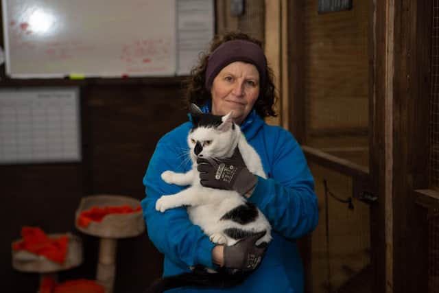 Susan Curren at Pennine Animal Welfare Society - PAWS