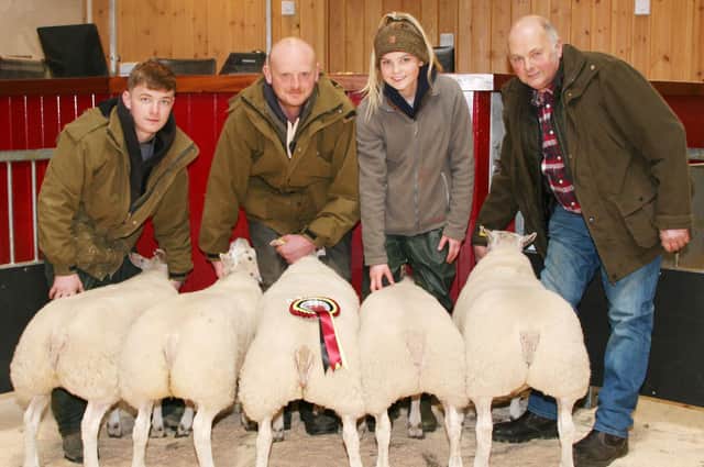 Brian Lund, right, joined by son Richard, granddaughter Chrissie and her boyfriend Sam Whiteley, left, with the February prime lamb champions at Skipton.
