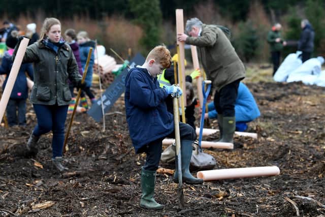 Children plant trees at Dalby Forest as part of the Forest Eye Project at Dalby Forest