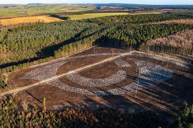 The Forest Eye at Dalby Forest. Picture: Forestry England
