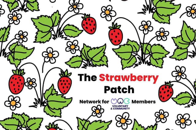 The Strawberry Patch – Network for VAC Members
