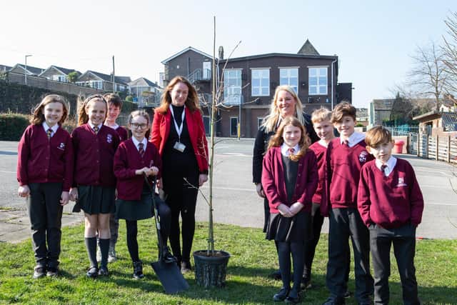 Trinity Academy St Chad's in Brighouse were the first to plant their tree.