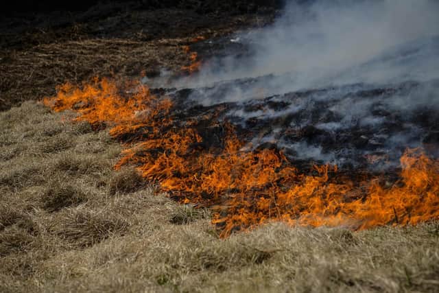 There have been devastating moorland fires linked to disposable barbecues