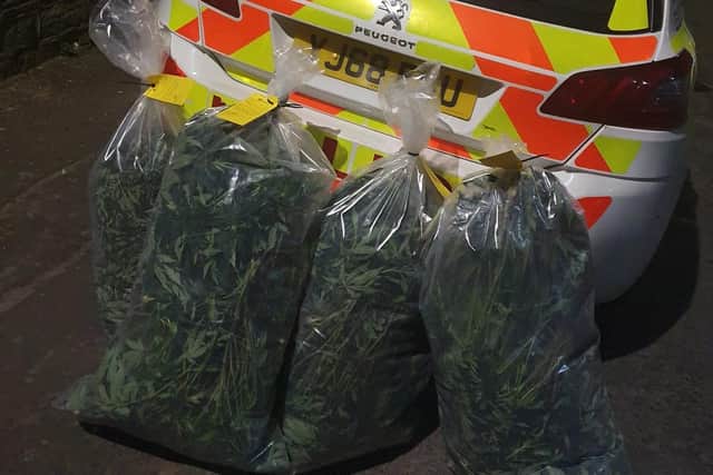 The cannabis found at the property in Halifax