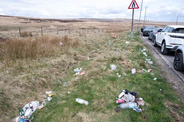 Some of the rubbish Rishworth Environmental Group want cleared up