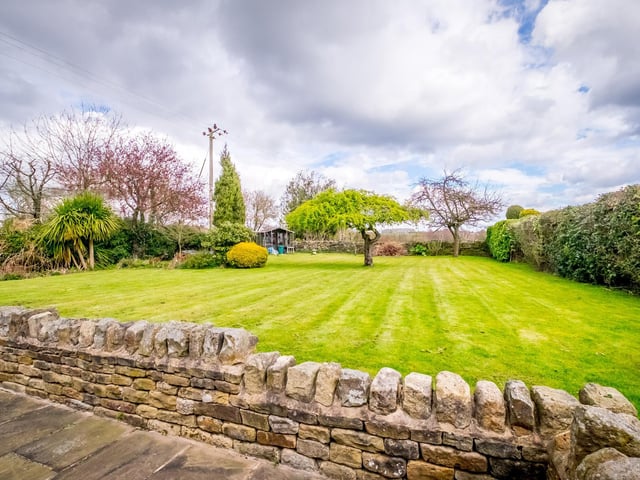 A large garden bordered by a stone wall, hedging, trees and shrubs.