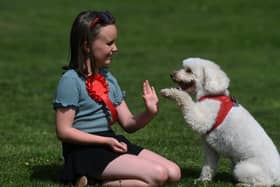 Eight-year-old Amelia Bowen from Brighouse, who won the child's best friend competition with her dog Whinny.