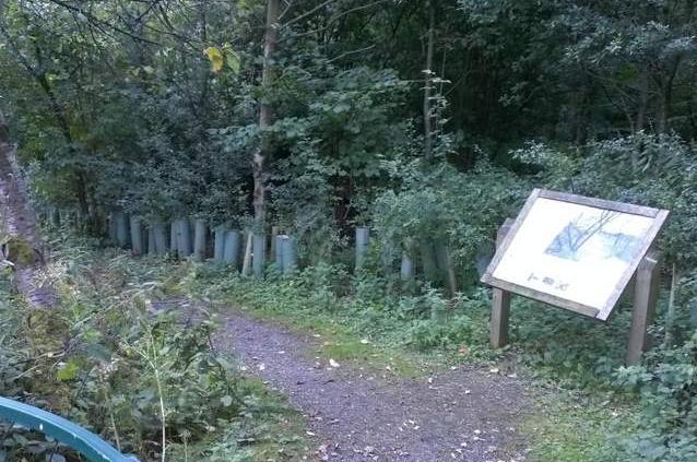 Formerly part of Shibden Halls kitchen garden, Cunnery Wood is now a a Local Nature Reserve. The area lies to the south west of Shibden Hall and is an ideal place to take an afternoon stroll.