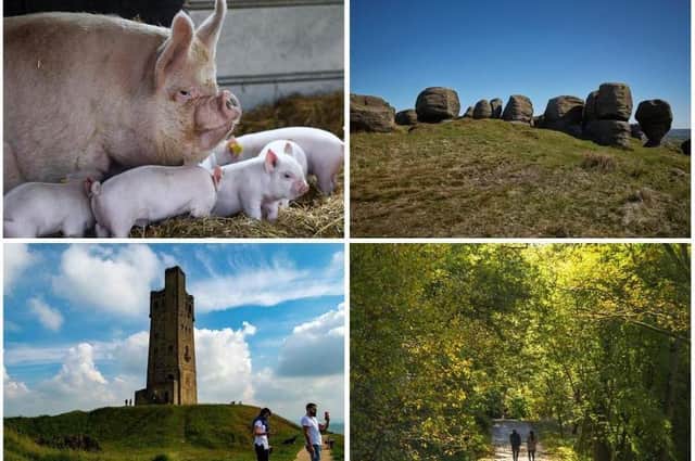 9 quirky, unusual and interesting day trips less than an hour's drive from Halifax