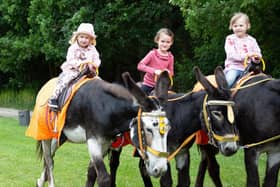 Esme Howell, Grace and Ruby Kendall on the donkeys at Brighouse Gala