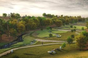 An artist’s impression of the Whinney Hill Park component of the scheme