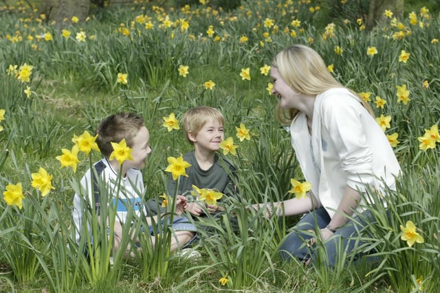 Enjoying the Spring sunshine in Crow Wood Park back in 2003