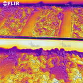 An example of infrared track monitoring