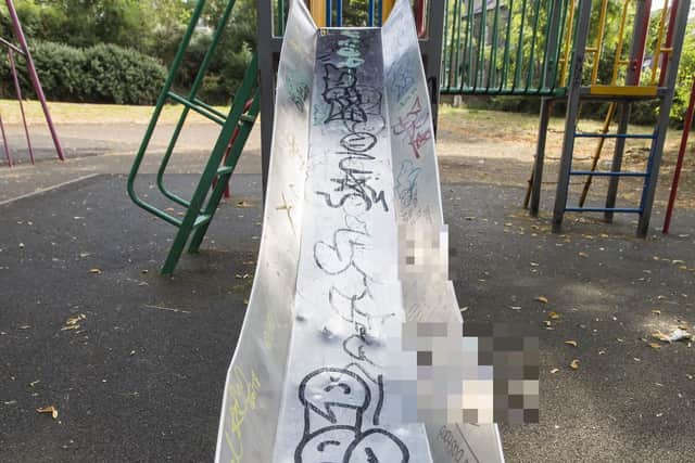 The slide and other play equipment was covered in graffiti, some of it offensive