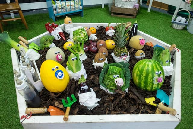The Let’s Grow pop-up allotment.