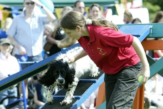 Alice from Springers takes Sammy round the agility course in 2007.