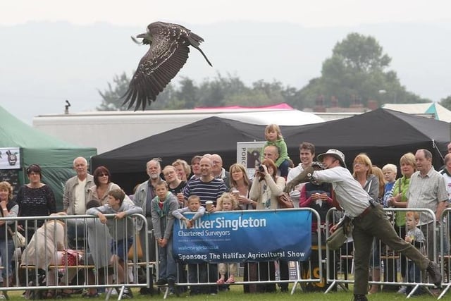 The birds of prey proved very popular at Halifax Agricultural Show in 2012.
