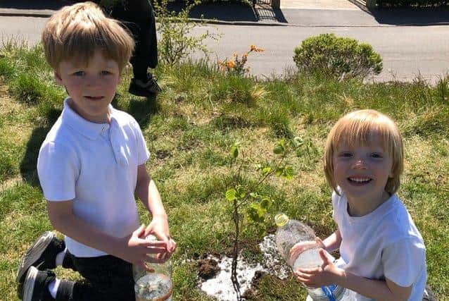 Clifton pupils help plant trees as part of a community project