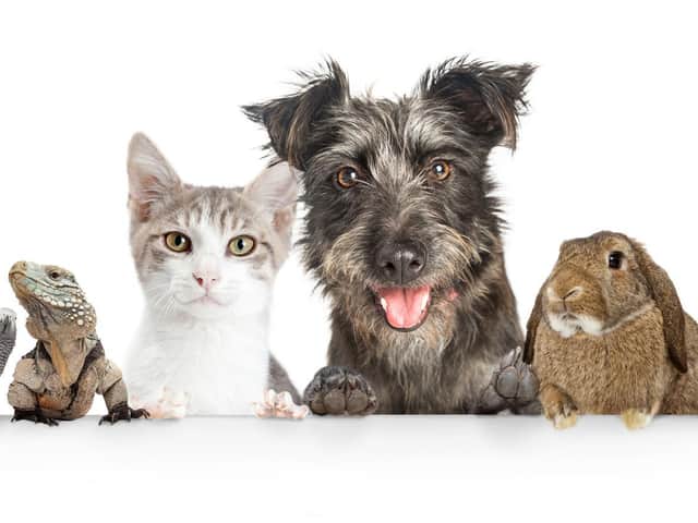 Enter our Top Pet competition now to be in with of chance of winning a £50 voucher