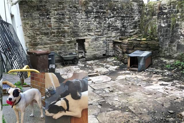 Decade-long ban for Todmorden man who left dogs fighting in filthy backyard