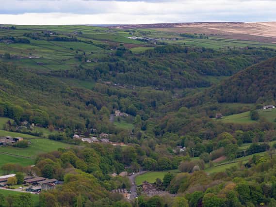 Calderdale Council’s climate response shortlisted for national award