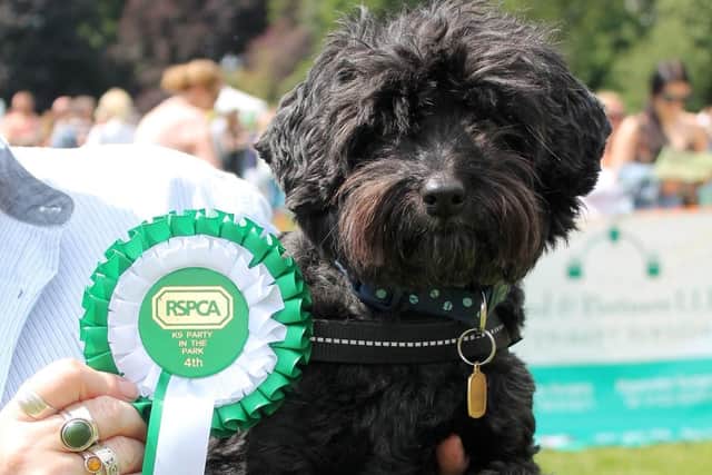 Halifax RSPCA to hold K9 Party In The Park this September on its 21st Anniversary