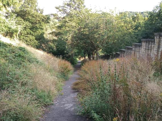 Shaw Park, Holywell Green, pictured by resident Richard White who says it is “completely overgrown and a disgrace”