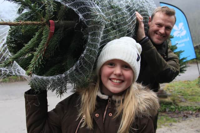Visitors pick up their real tree from Hardcastle Crags. Copyright: National Trust
Images/Victoria Holland
