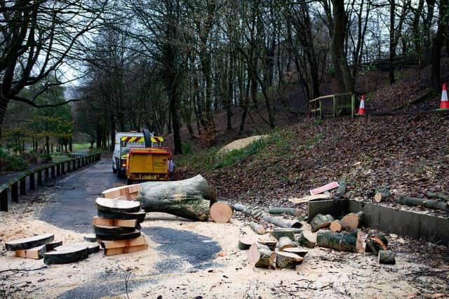 Tree removal after the storm at Shibden Park