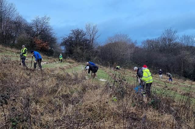 Local Rotary Clubs, Council staff and The Woodland Trust representatives taking part in tree planting at Whinney Hill Park.